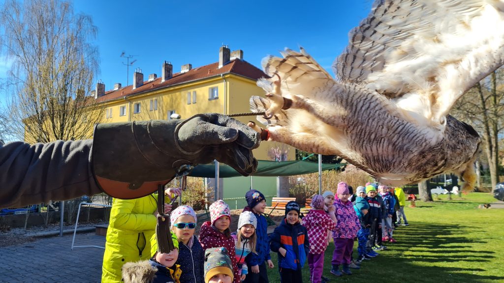 Děti pozorují dravce.